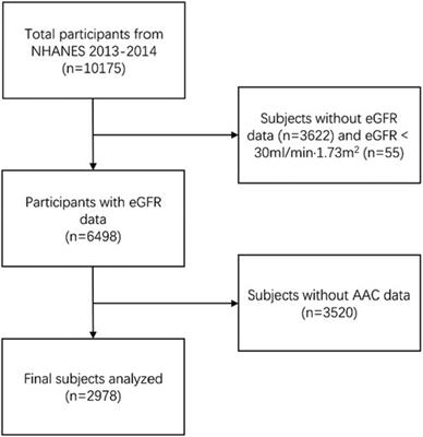 The estimated glomerular filtration rate was U-shaped associated with abdominal aortic calcification in US adults: findings from NHANES 2013–2014